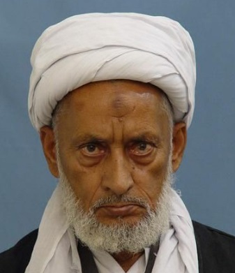 حجة‌الإسلام والمسلمين الحاج الشيخ محمود الحسن خان النجفي 