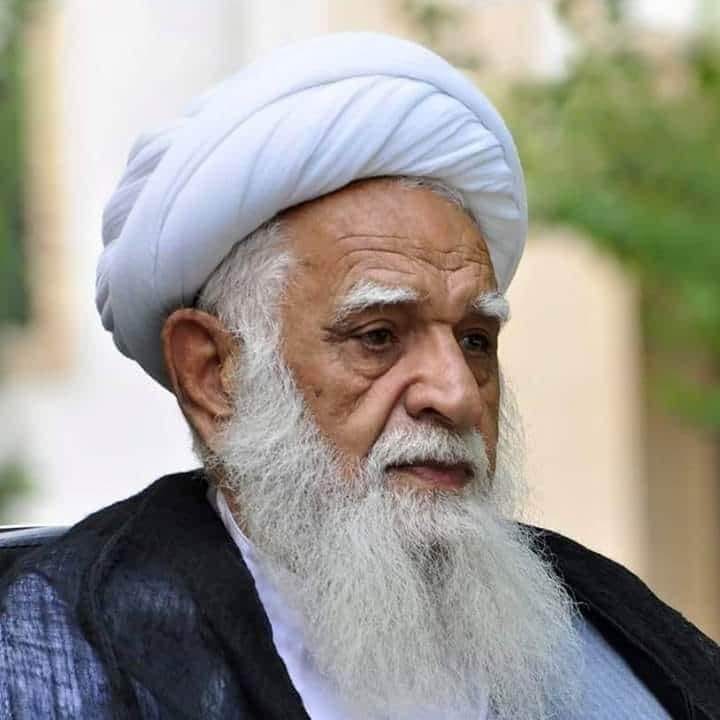 آية الله الحاج الشيخ محمد آصف المحسني القندهاري 