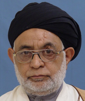 حجة الإسلام والمسلمين السيد محمد فضل الله الموسوي الصفوي 
